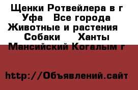 Щенки Ротвейлера в г.Уфа - Все города Животные и растения » Собаки   . Ханты-Мансийский,Когалым г.